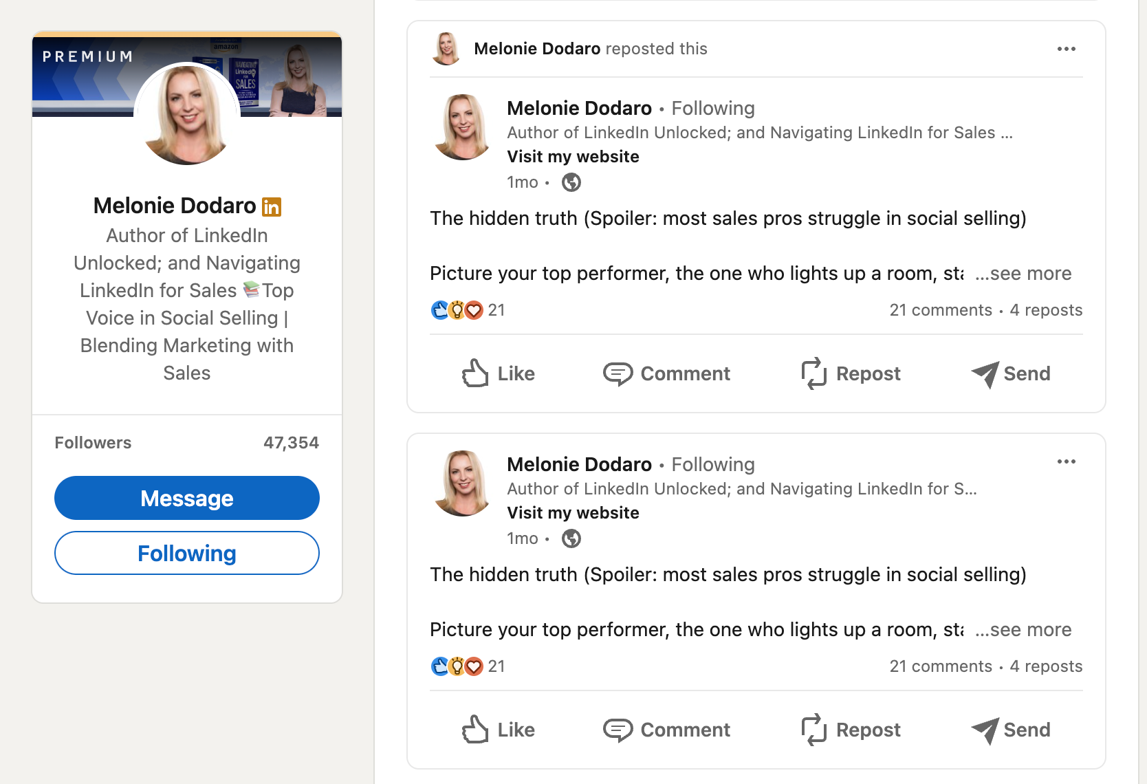 melonie-dodaro-linkedin-profile