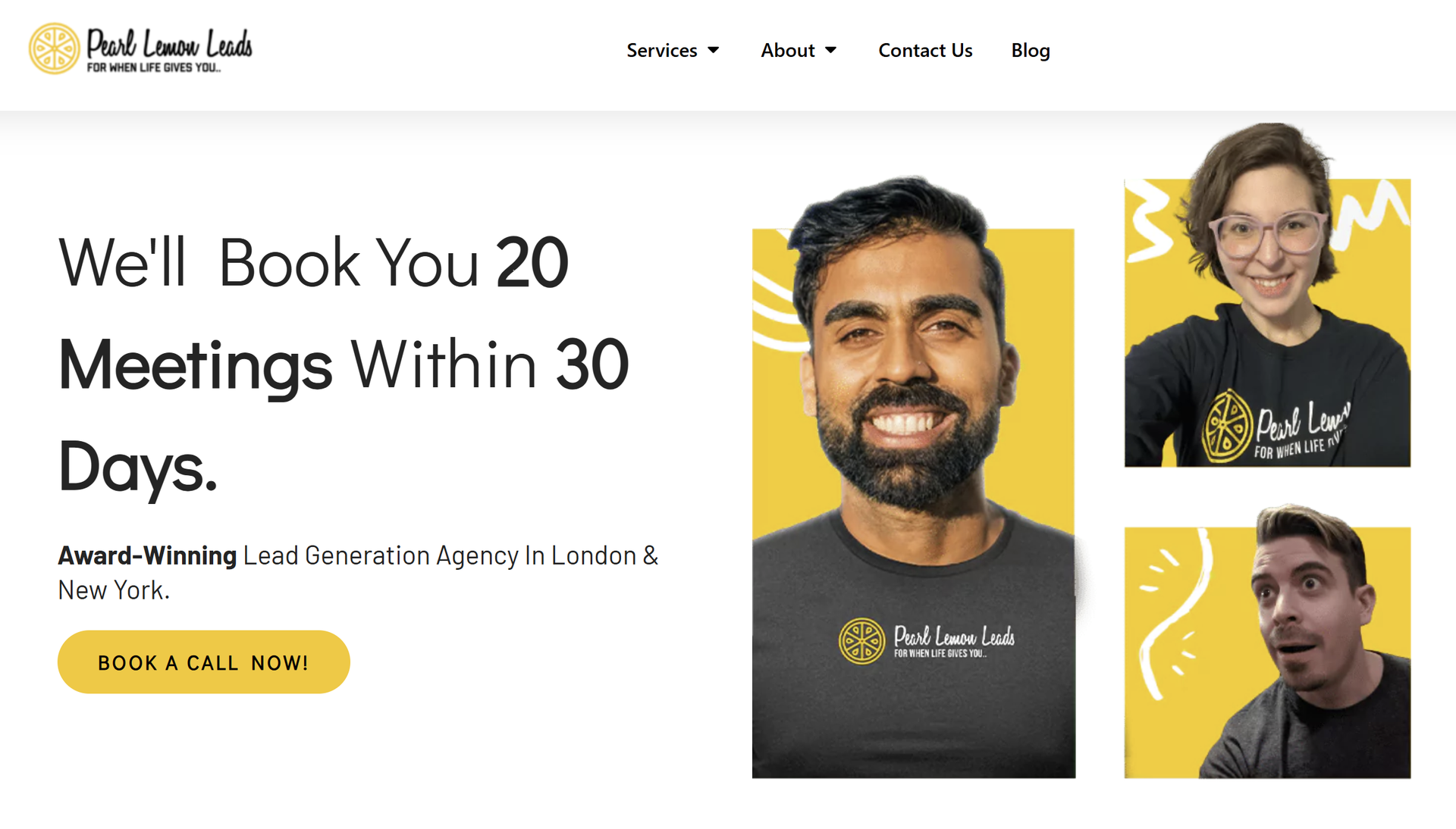 pearl-lemon-leads-agency-website